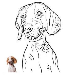 Custom Pet Portrait, Pet Portrait Drawing, Sketches From Photo, Custom Line Art, Dog Portrait, Cat Portrait, Personalized Gifts
