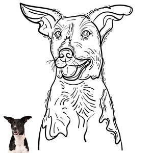 Custom Pet Portrait, Dog line Portrait, Cat Portrait, Custom Line Art, Pet Portrait Drawing, Personalized Gifts, Sketches From Photo