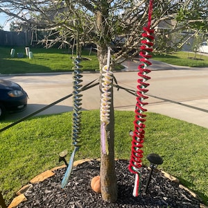 May include: Three spiral-shaped tree decorations in blue, white and yellow, and red and green, hanging from a tree. The decorations are made of yarn and have a spiral design. The tree is in a yard with green grass and a black mulch bed.