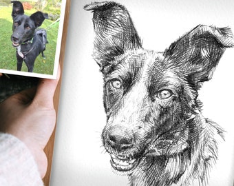 Individuelles Hundeportrait nach Foto – handgezeichnete Bleistiftzeichnung auf Kunstpapier – personalisiertes Geschenk & Haustier Andenken