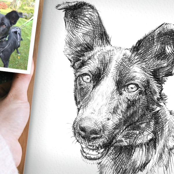 Handgezeichnet  Hund  Portrait - Nach Deinem Foto I besonderes Geschenk I Haustier Andenken I Bleistift auf Qualitäts Kunstpapier