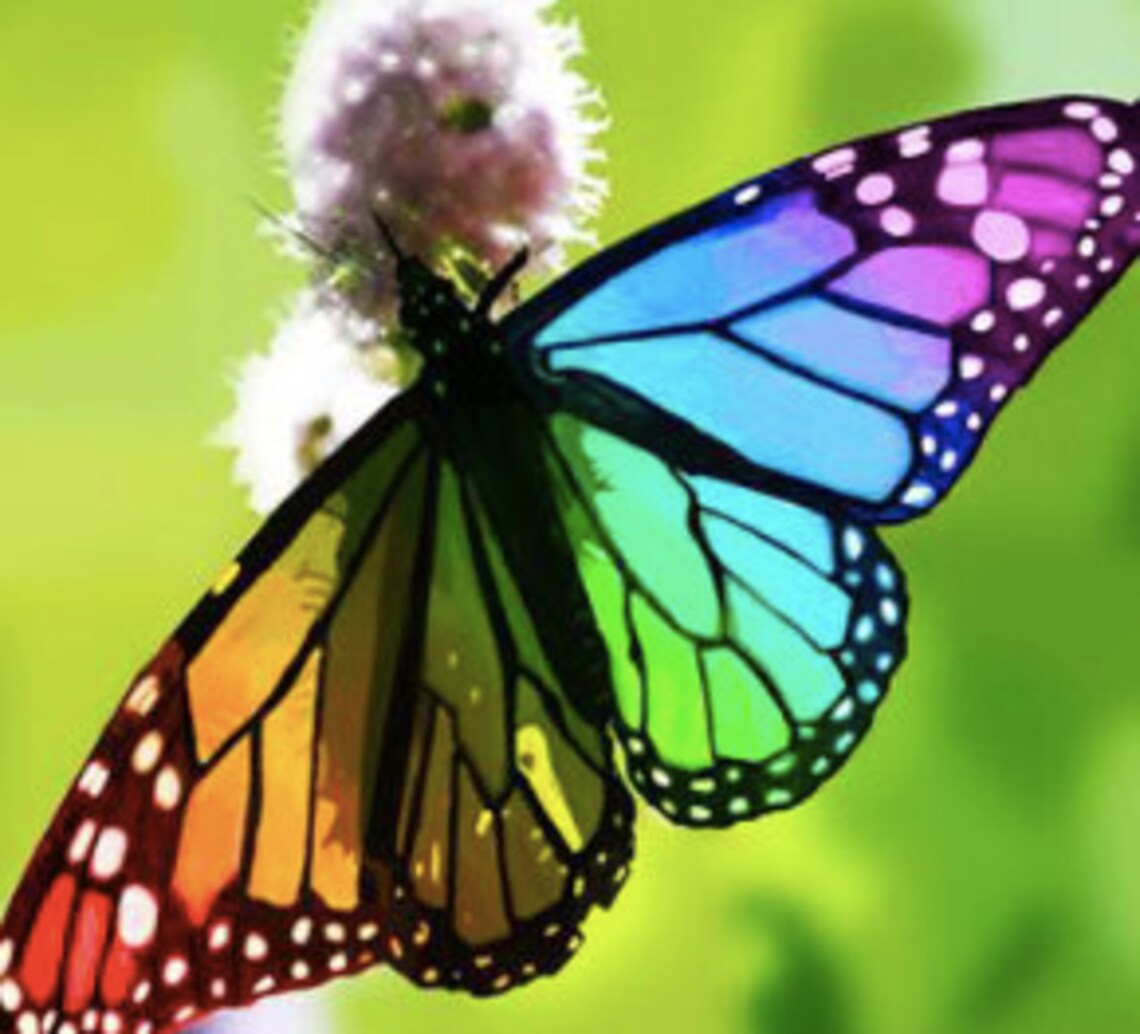 Arcenciel 5 pcs Flying Butterfly Etsy