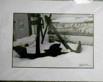 Maine Coastal Anchor in Snow Photograph by Debi H... 19X13 Mat