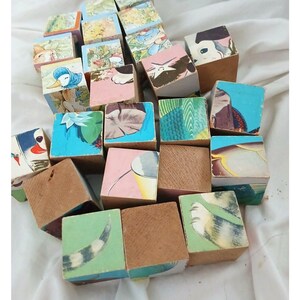 May include: A collection of wooden blocks featuring various colorful illustrations of animals, plants, and abstract patterns on their faces. Some blocks show partial images of a duck, a cat, and foliage, while others display plain wood sides.