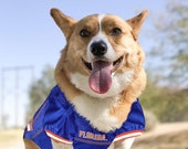 Florida gators hotsell dog jersey