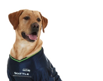 seahawks dog sweater