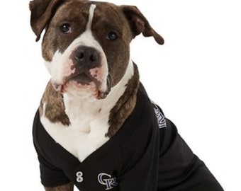 Colorado Rockies Licensed Cat or Dog Jersey 