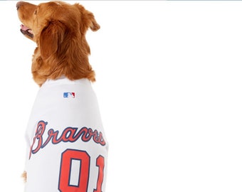 atlanta braves dog jersey