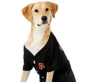 buster posey dog jersey