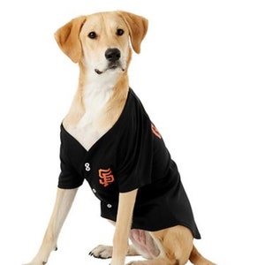 San Francisco Giants Pet Gear