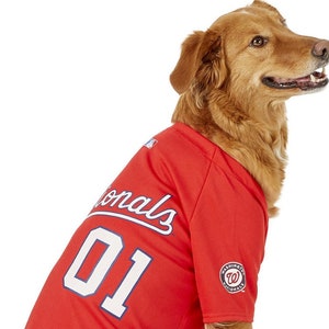Washington nationals dog jersey outlet