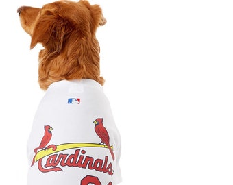 dog cardinals jersey