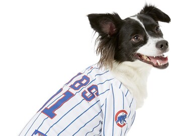 Chicago cubs dog | Etsy