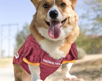 messi dog jersey