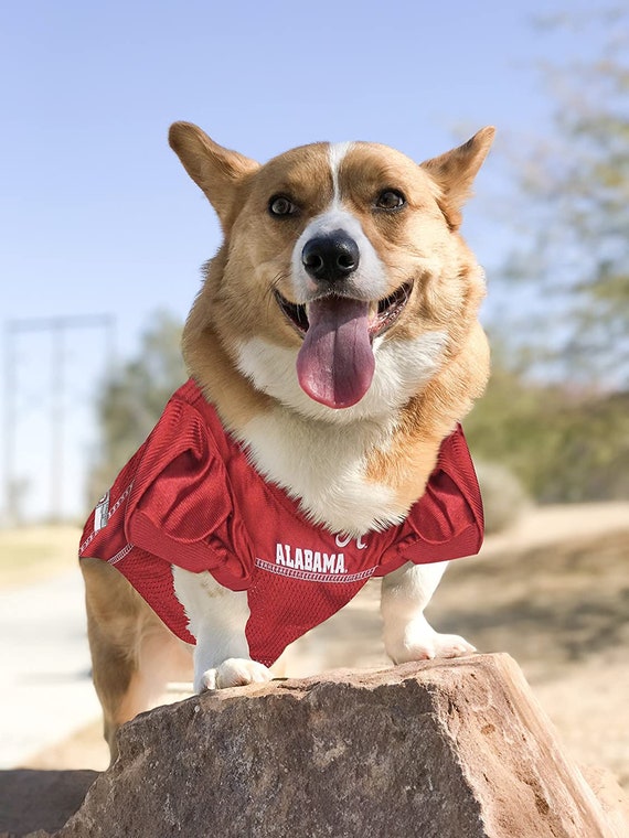 crimson tide dog jersey