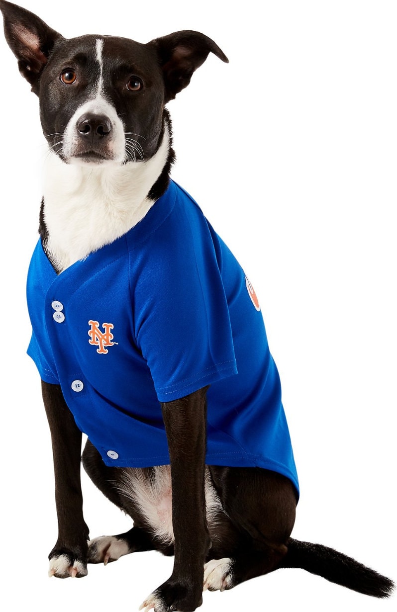New York Mets Licensed Cat or Dog Jersey Etsy Canada