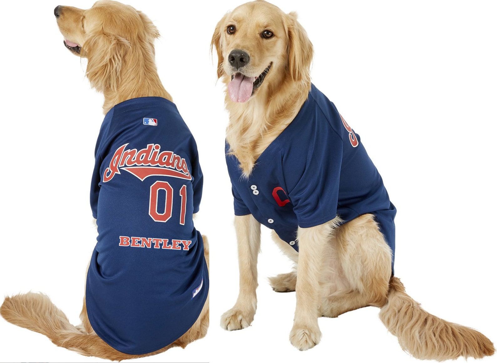 Houston Astros licensed cat or dog jersey Etsy