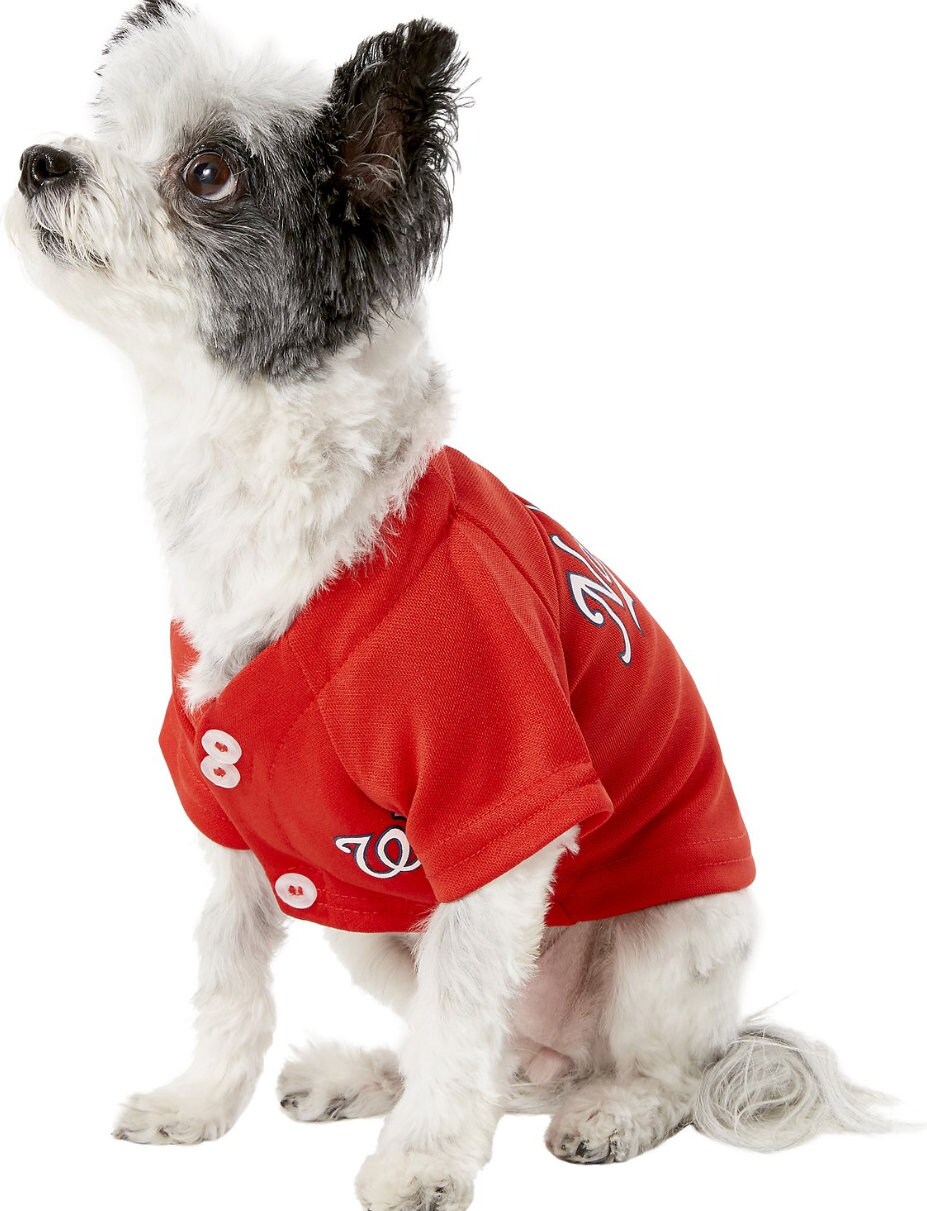 Washington Nationals Dog Jerseys, Nationals Pet Carriers, Harness