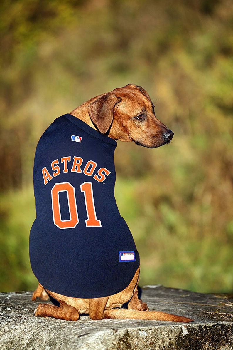astros dog jersey