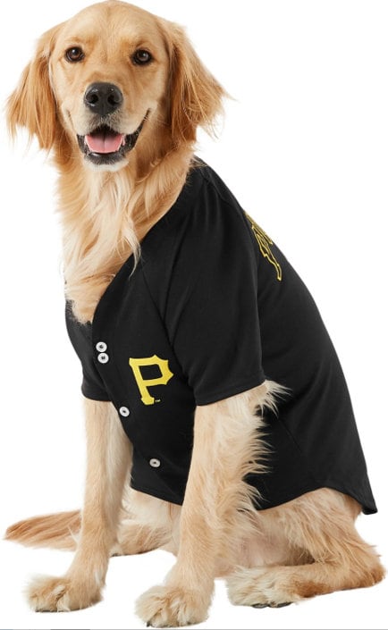 Pittsburgh Pirates Licensed Cat or Dog Jersey 