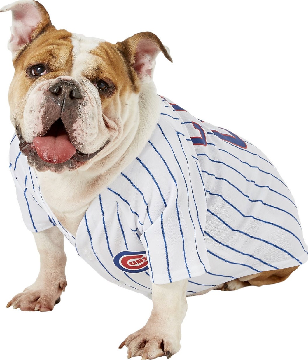 Chicago Cubs Licensed Cat or Dog Jersey 