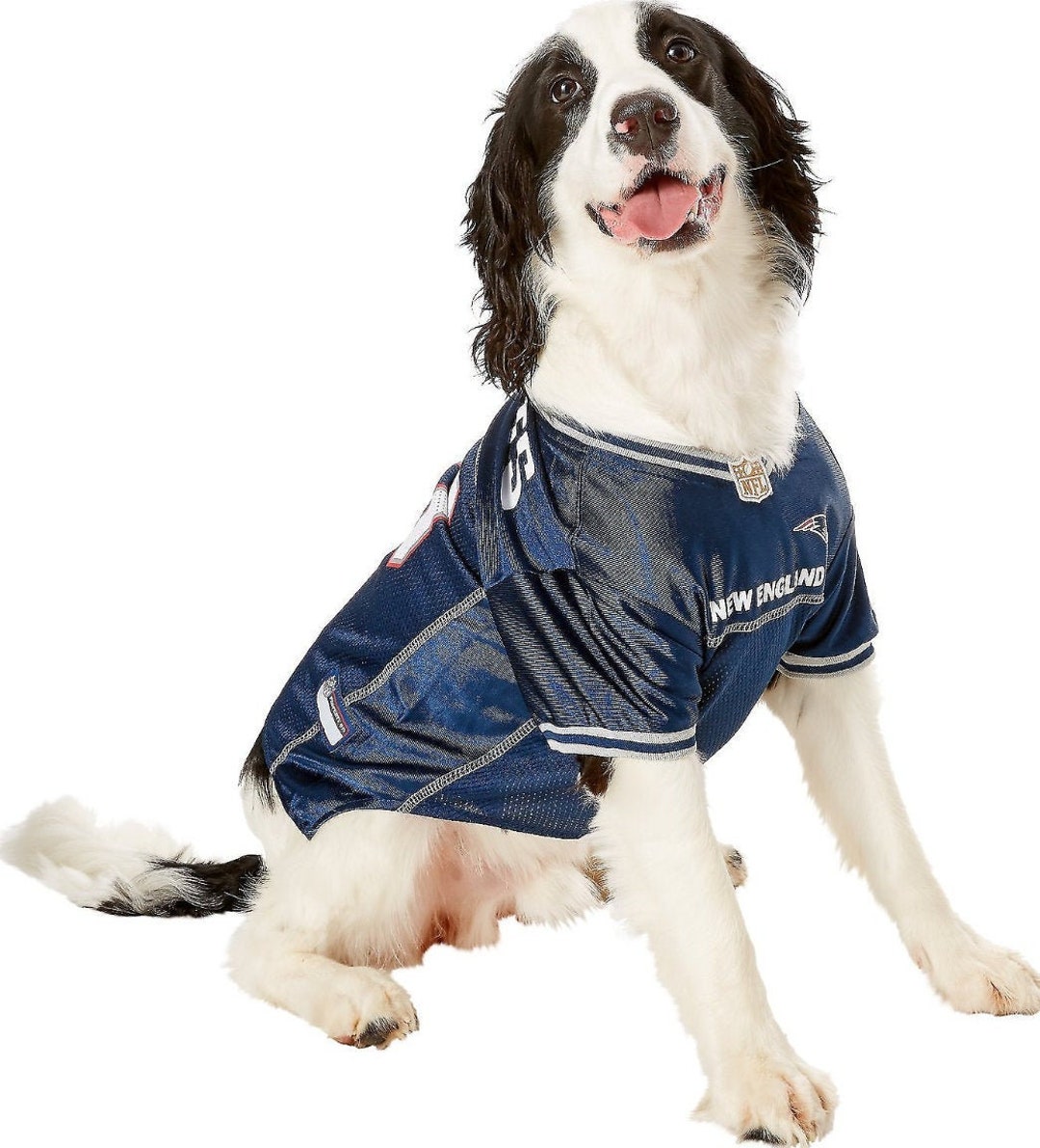 Dog Sports Clothing Mesh Breathable Summer Dog Football Jersey NFL Pet  Jersey - China Pet Jersey and Pet Clothing price