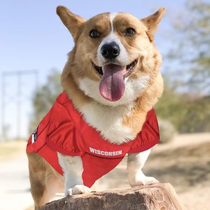 ohio state dog jersey