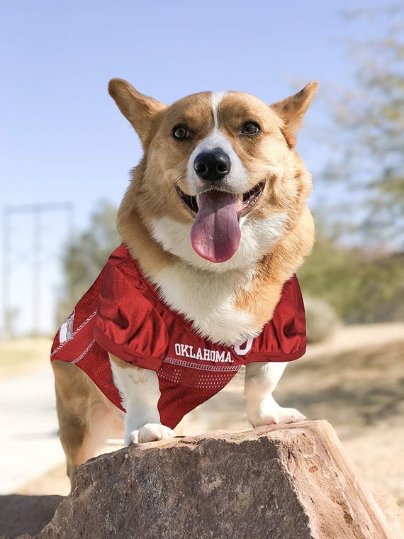 Ou sooners dog clearance jersey
