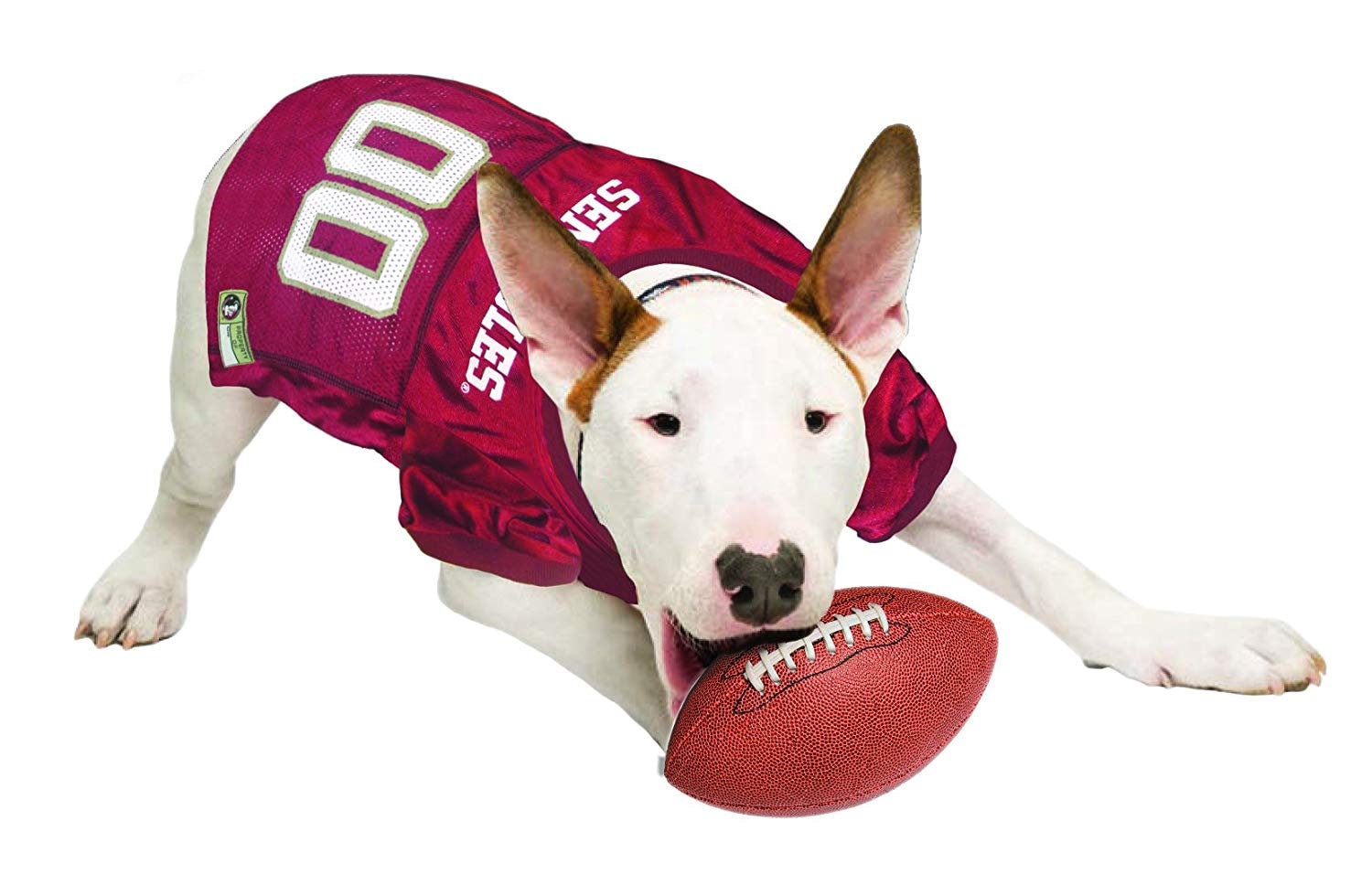 Pets First College Florida State Seminoles Pet Bandana, 3 Sizes Available.  With Collar 