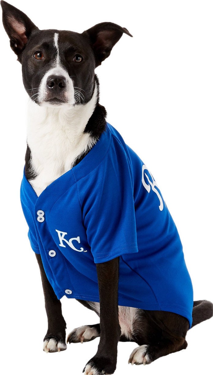 Kansas City Royals Licensed Cat or Dog Jersey 