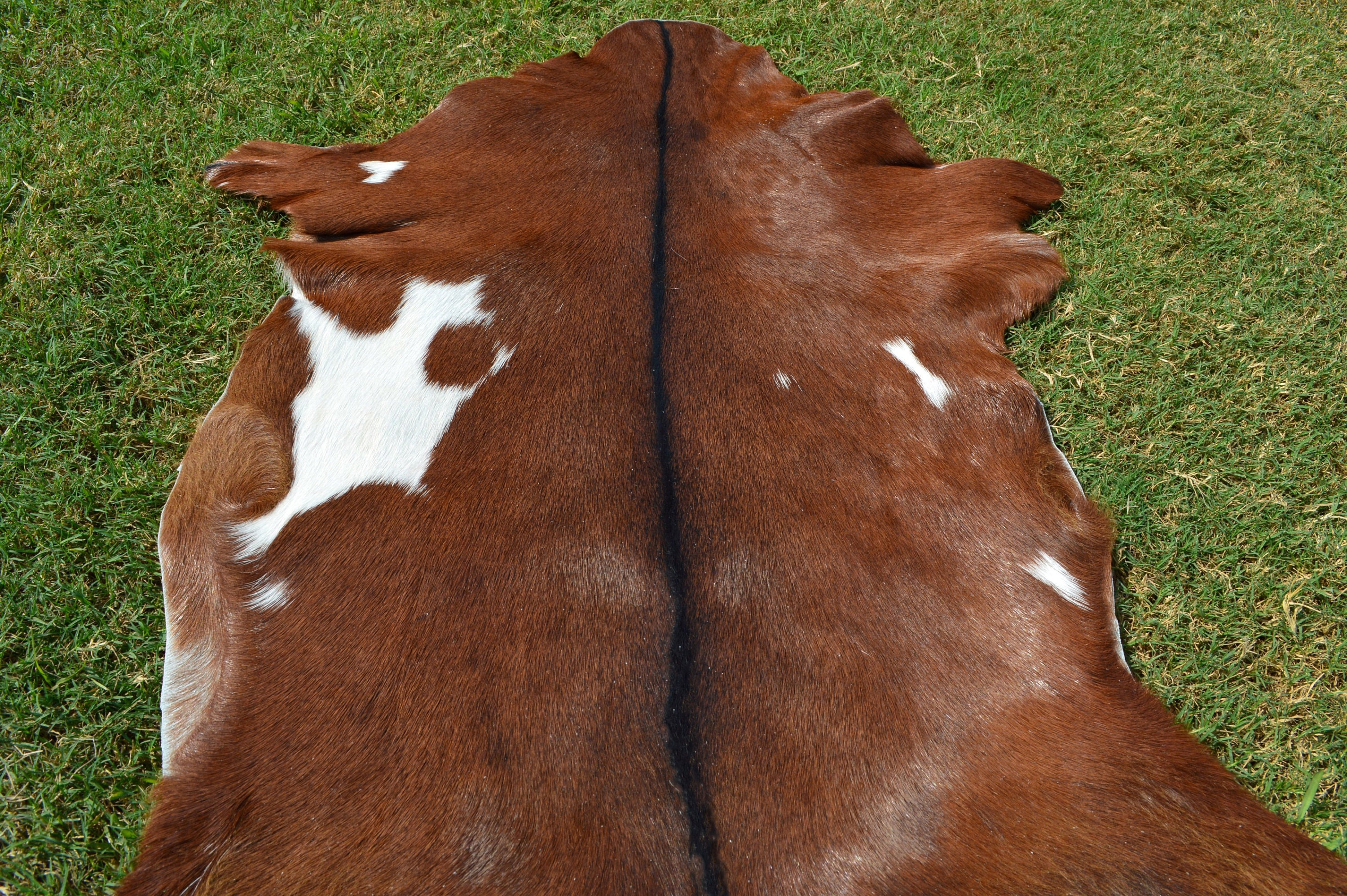 REAL Goat Skin 2.7 Ft X 2 Ft 100 Natural GOAT Hide Etsy UK