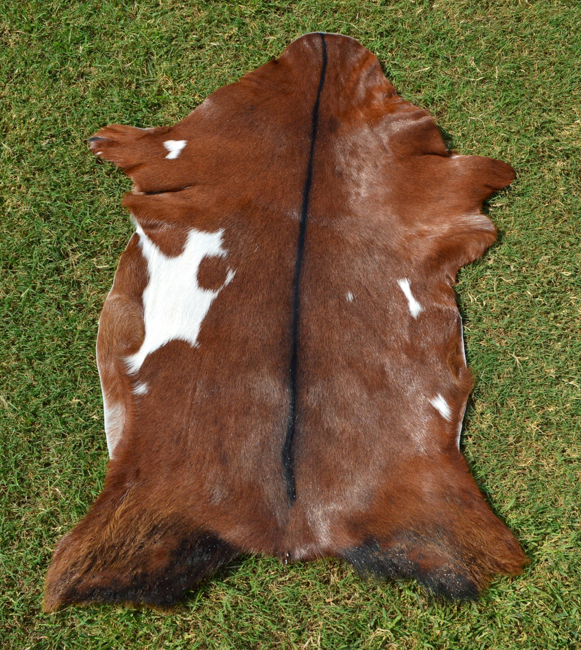 REAL Goat Skin 2.7 Ft X 2 Ft 100 Natural GOAT Hide Etsy UK