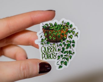 Pothos Queen Sticker!