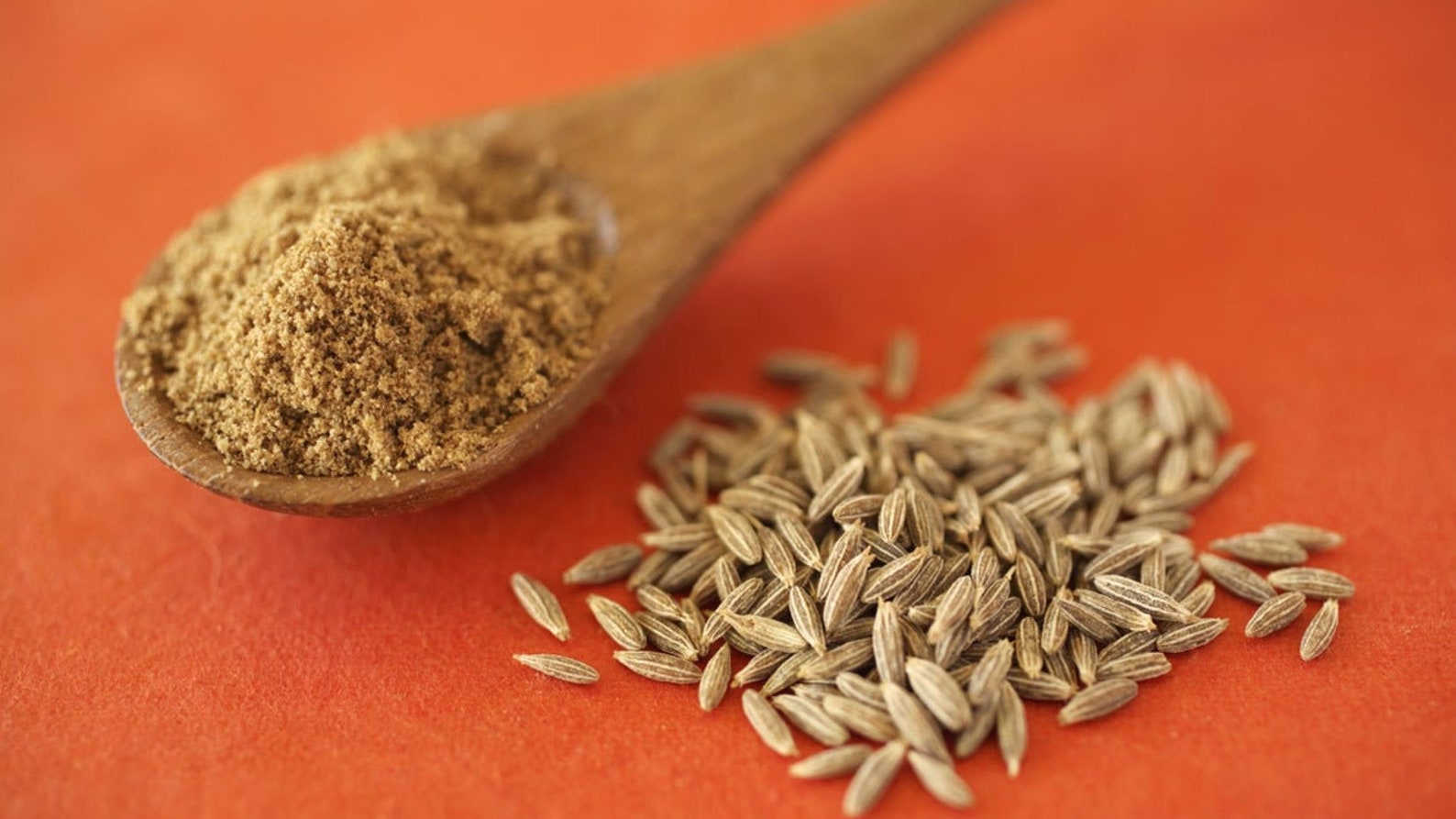 Poudre de cumin 100 bio 100Gm à 1kg Etsy