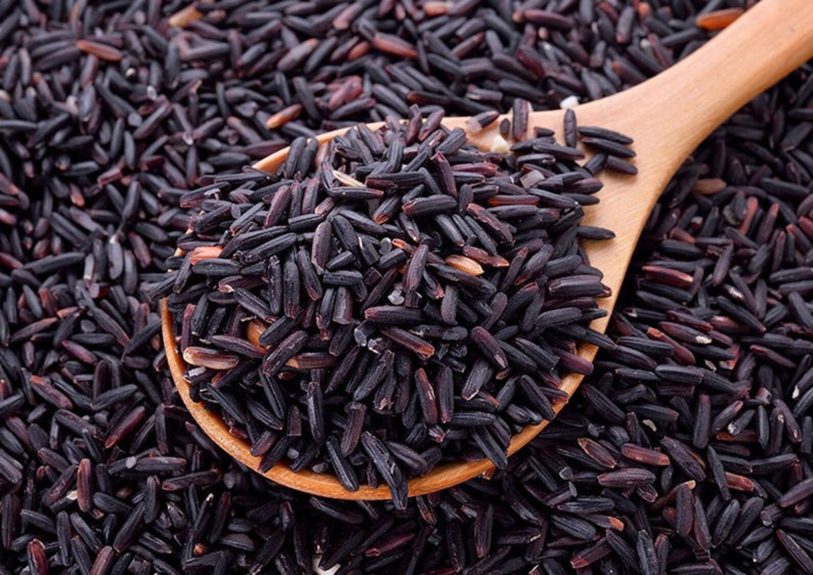 Black Rice Oryza sativa 100 AYURVEDIC NATURAL Black Rice for Etsy
