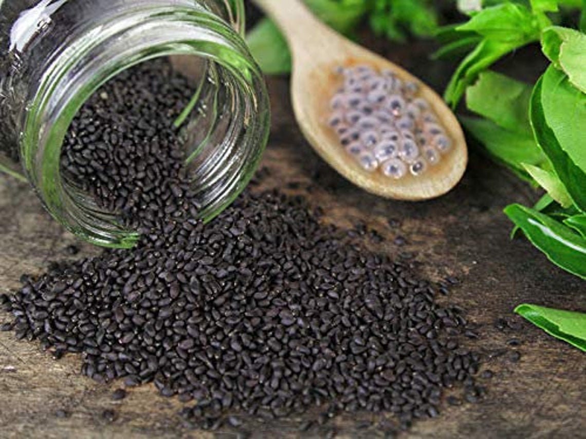 Organic BASIL SEEDS Sabja Seeds Tulsi Seeds 100 organic Etsy