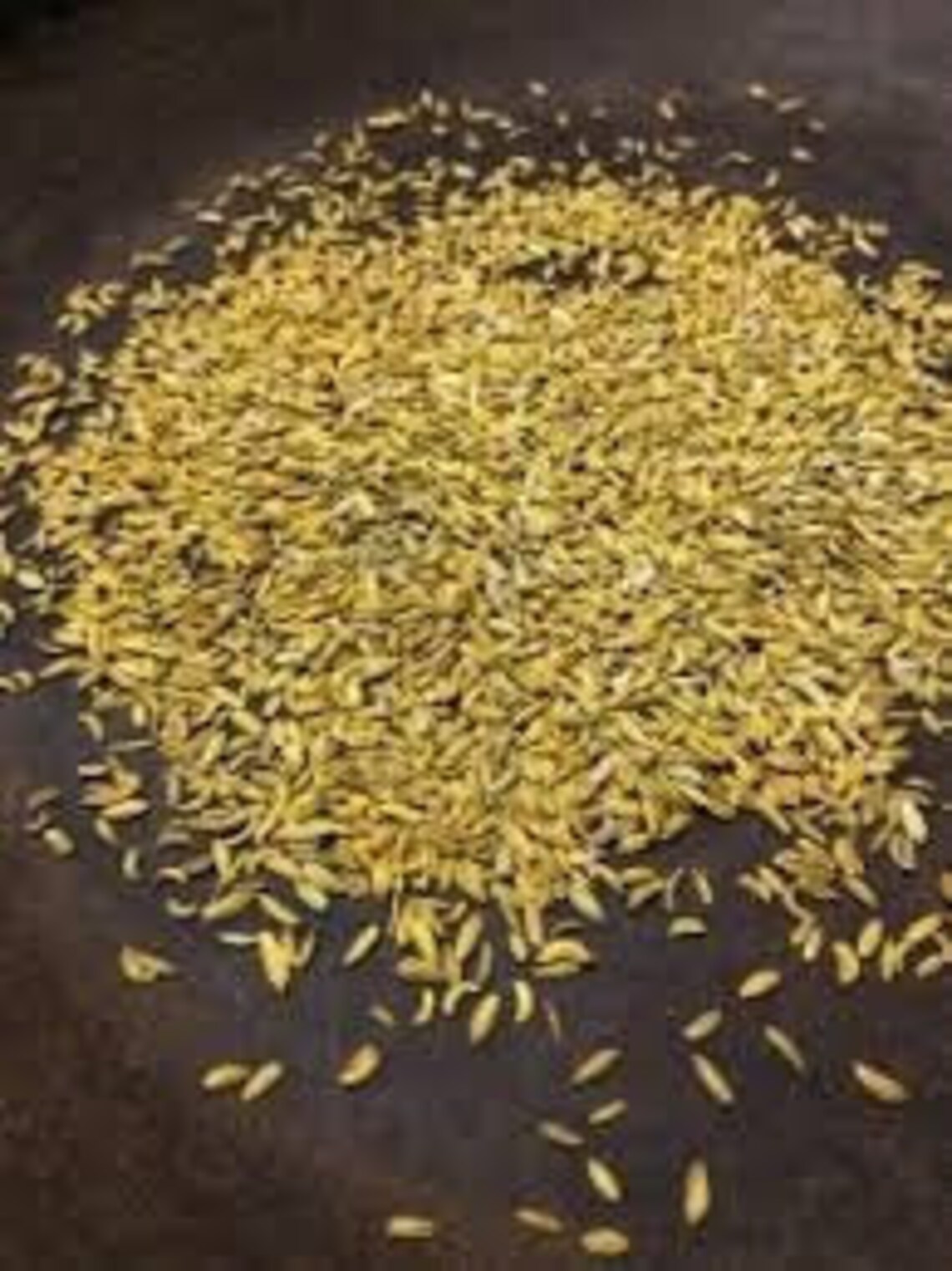 Roasted Fennel Seeds 100 organic 100Gm To 1kg Etsy