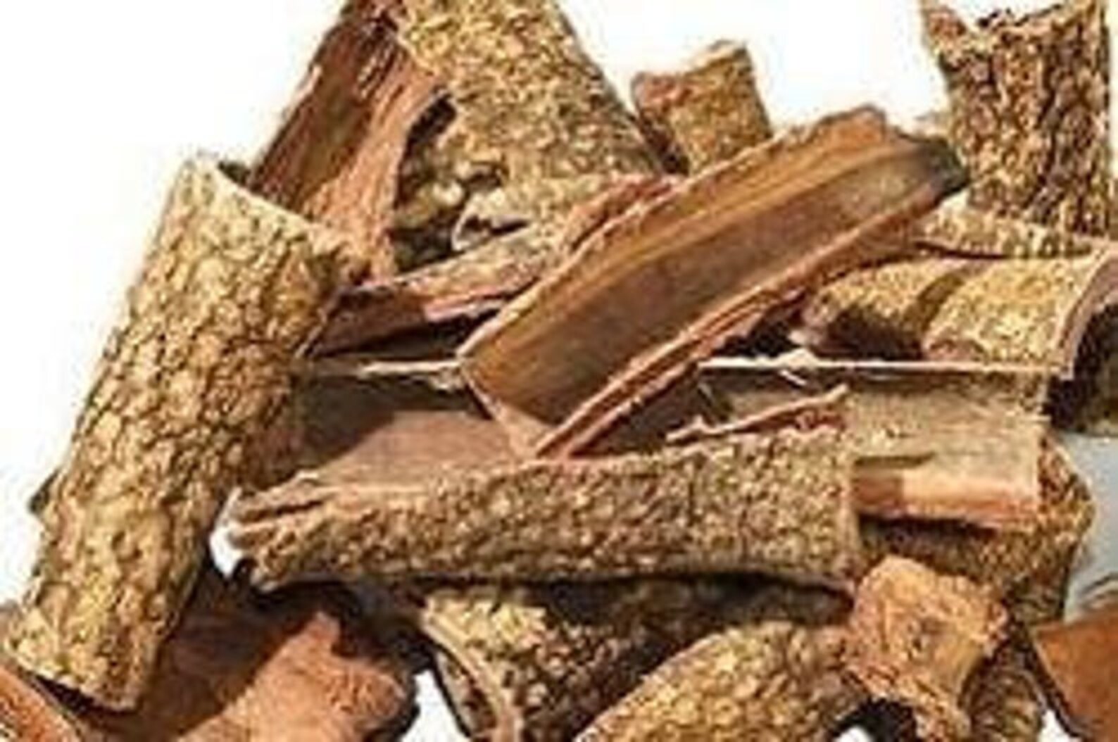 Neem Bark Azadirachta indica 100 REAL AYURVEDIC Pure & Etsy