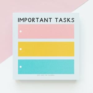 May include: A square notepad with the words "IMPORTANT TASKS" in black. The notepad has three horizontal coloured sections: pink, yellow, and teal. Each section has a small white dot. The bottom of the notepad reads "JEFF AND THE SQUIRREL".