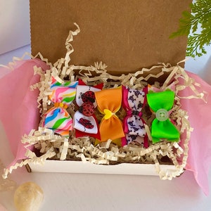 Pet Hair Bow GRAB BAG | Set of 5 or 10 | Dog Bows | Pet Hair Accessories | Dog Bow Sets | Pet Bows with Rubber Band | Small Hair Bows |