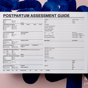 Postpartum Assessment Guide Template for Nurses (Digital PDF)