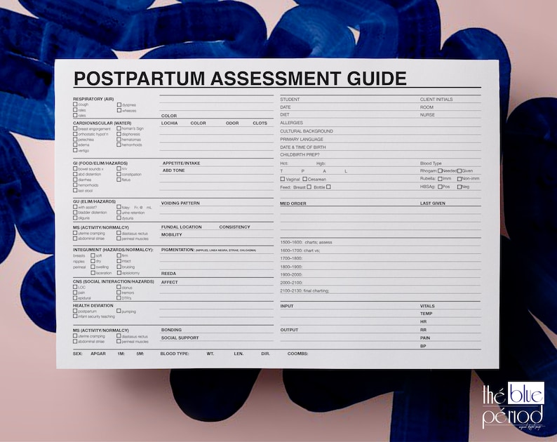 Postpartum Assessment Guide Template for Nurses (digital PDF) - Etsy