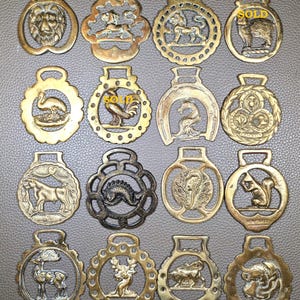 Birds/Beasts Horse Brass August 13 updated medallions, bridle