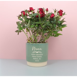 May include: A green ceramic planter with a white inscription that reads "Nana Happy Birthday from Hanna, Parisa, Ali XXXX". The planter is filled with a red rose bush.