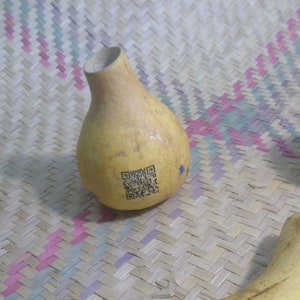 1 small Kalli Kabaza Gourd Lagenaria Siceraria 4grams of Carbon