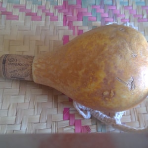 1 small Kalli Kabaza Gourd Lagenaria Siceraria 4grams of Carbon