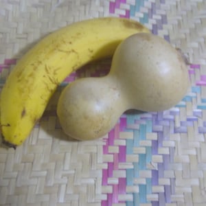 Gourd Lagenaria Siceraria 5oz DIY