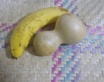 Gourd Lagenaria Siceraria 5oz DIY
