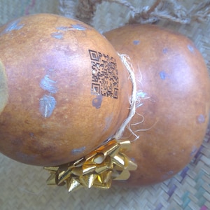 1 Gourd Bottle Lagenaria siceraria Kabasa Guaje Fuerza Guerrero