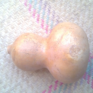 1 Gourd Bottle Lagenaria siceraria Kabasa Guaje Bule Jaguar Scratch DIY
